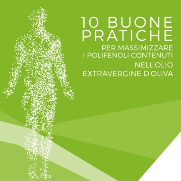 (Italiano) 10 buone pratiche per massimizzare i polifenoli contenuti nell’olio extravergine di oliva