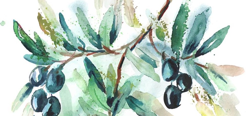 Opuscolo Aristoil “Gli effetti biologici dei polifenoli dell’olio di oliva”