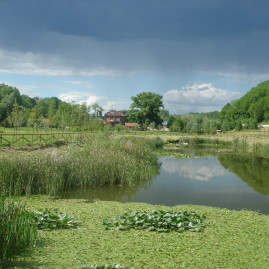 NAWAMED