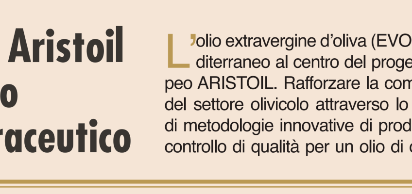 (Italiano) Il Sole 24 ORE parla di Aristoil